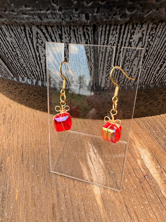 Crystal Present Earrings