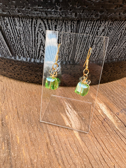 Crystal Present Earrings